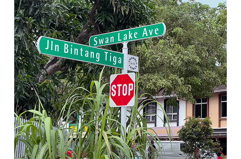 Swan Lake Ave Swan Lake Ave