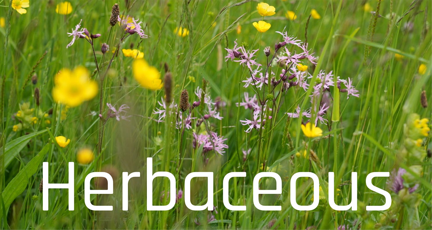 Wild Way wild perennials and annuals database