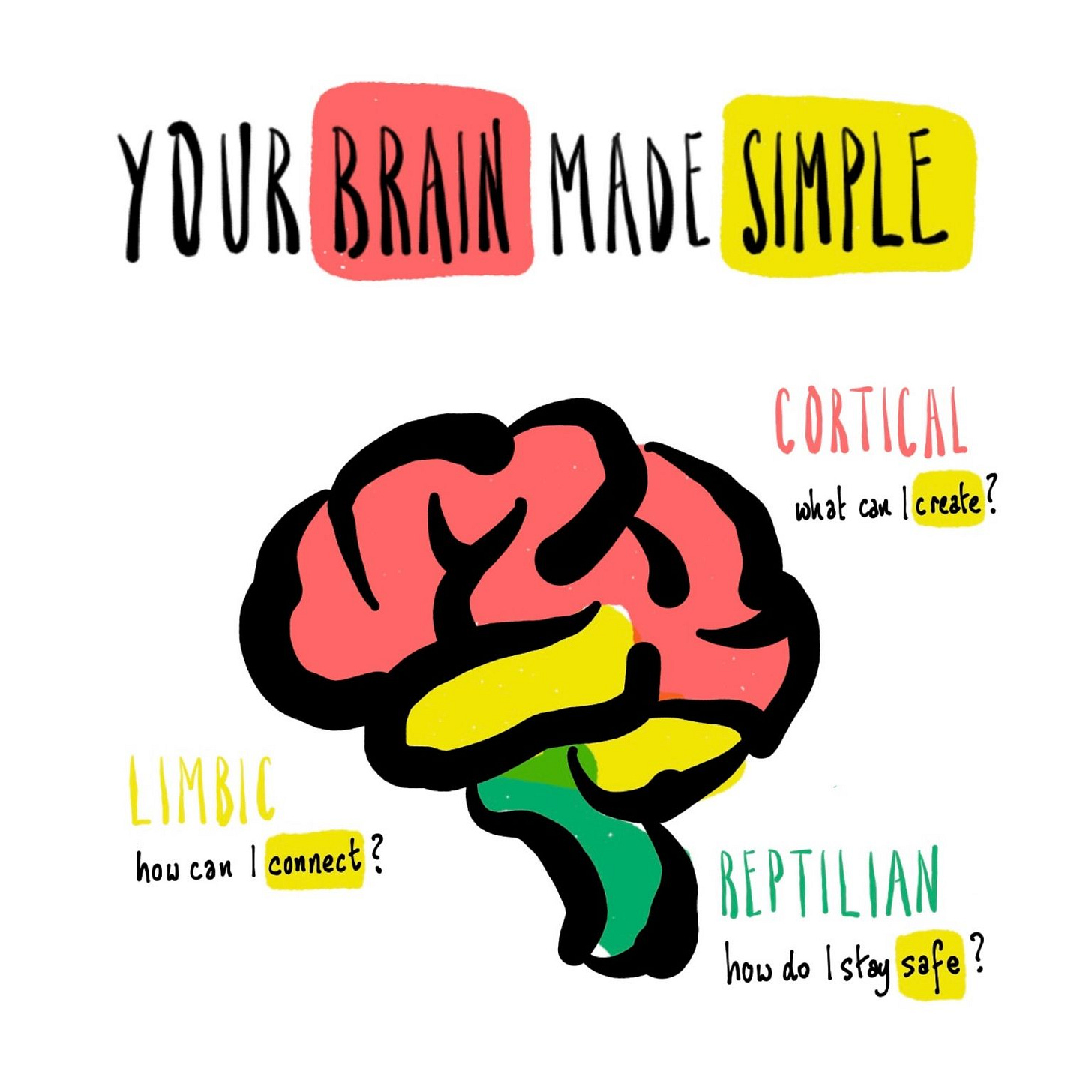 No alternative text description for this image