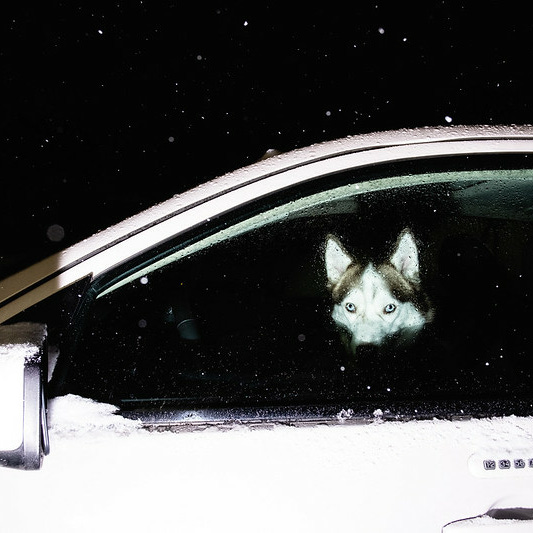 American Phantasmagoric