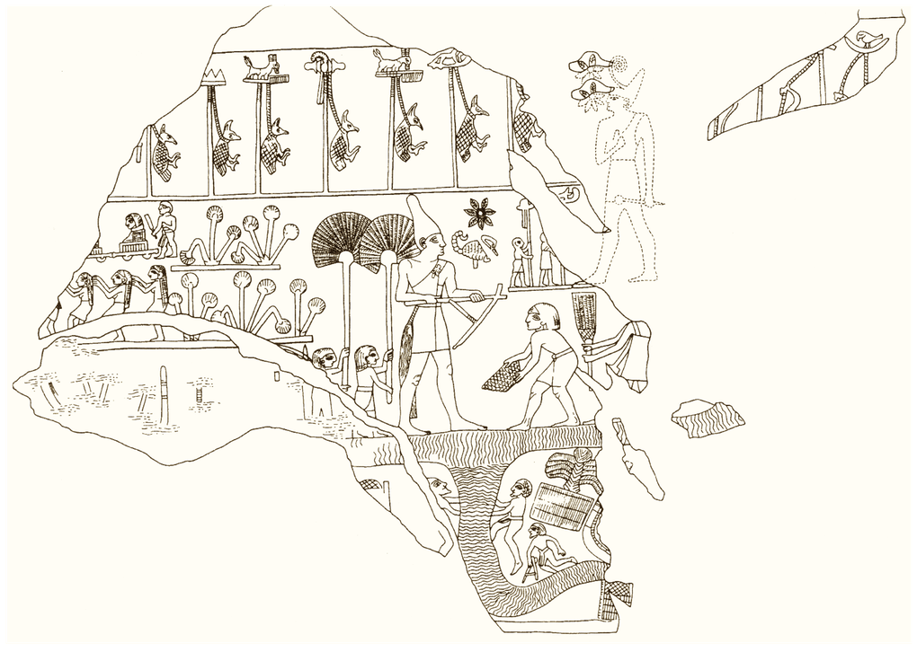 Scorpion Macehead | The Ancient Egypt Site