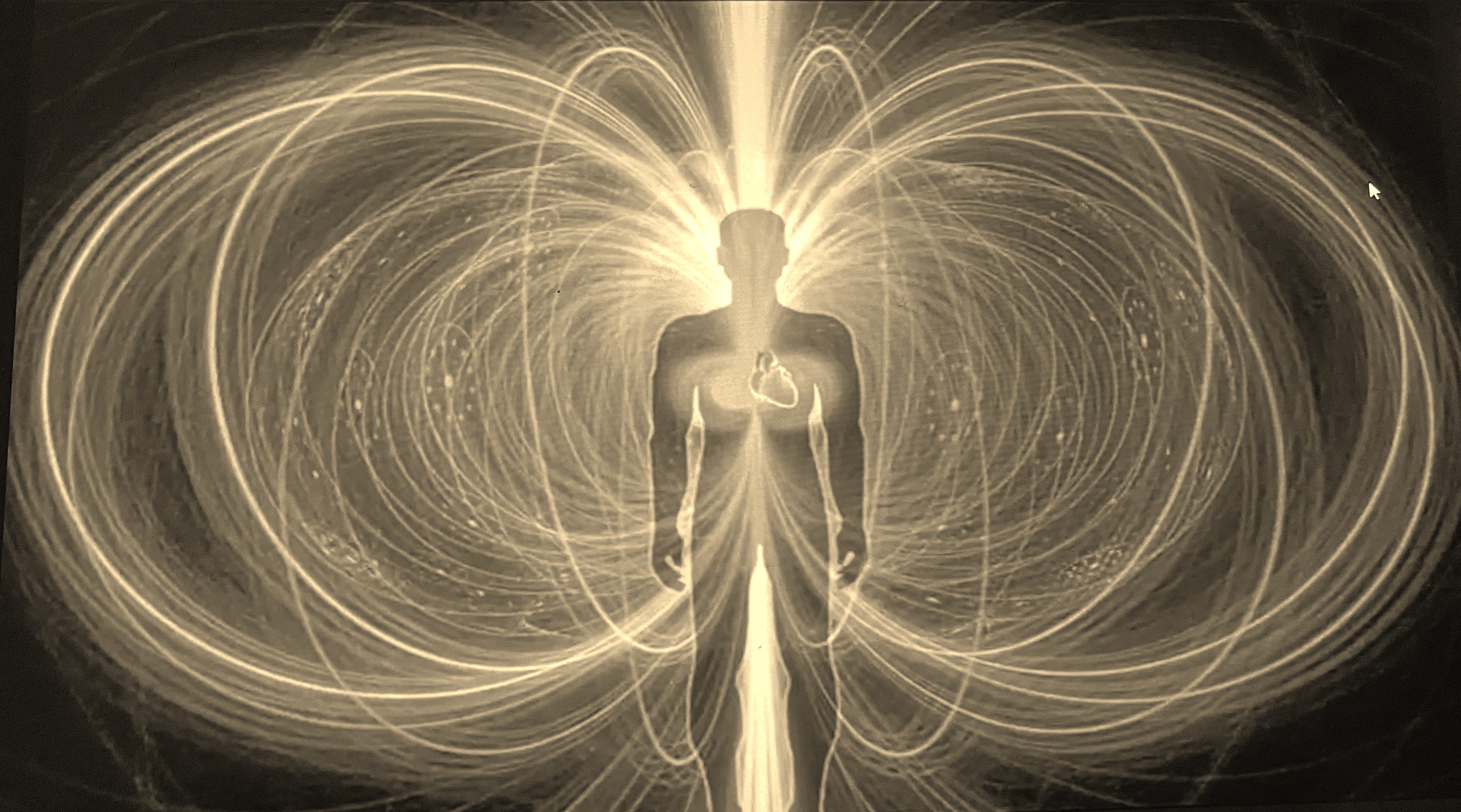 When Your Field Comes Into Alignment - A Soul's Journey