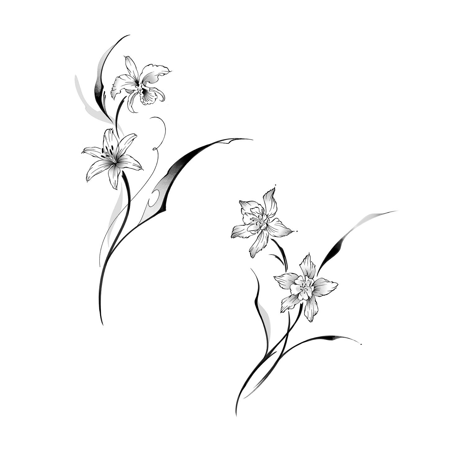 No description available.