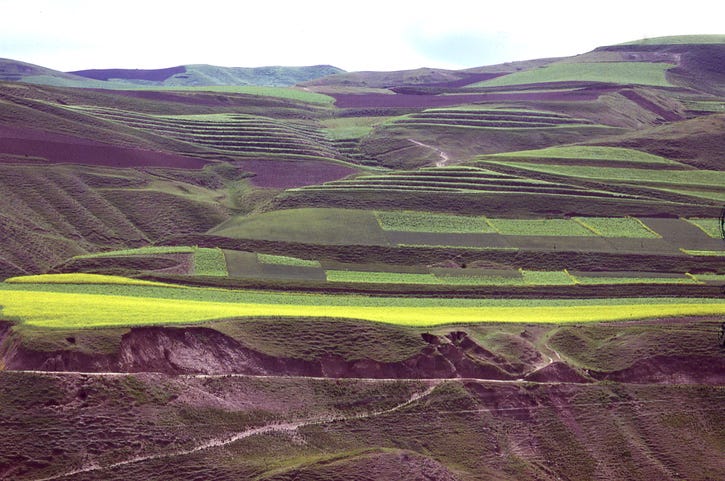 Loess landscape after transformation