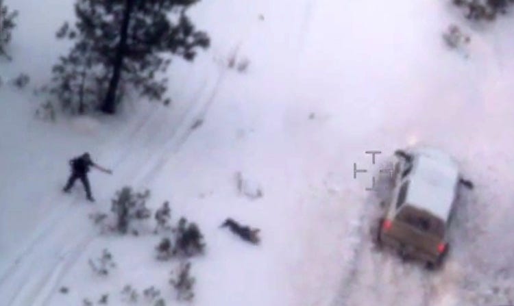 This photo taken from an FBI video shows Robert "LaVoy" Finicum after he was fatally shot by police Tuesday, Jan. 26, 2016 near Burns, Ore.  A video released Thursday, Jan. 28, 2016 by the FBI of the shooting death of a spokesman for the armed occupiers of a wildlife refuge shows the man reaching into his jacket before he fell into the snow. The FBI said the man had a gun in his pocket. (FBI via AP)