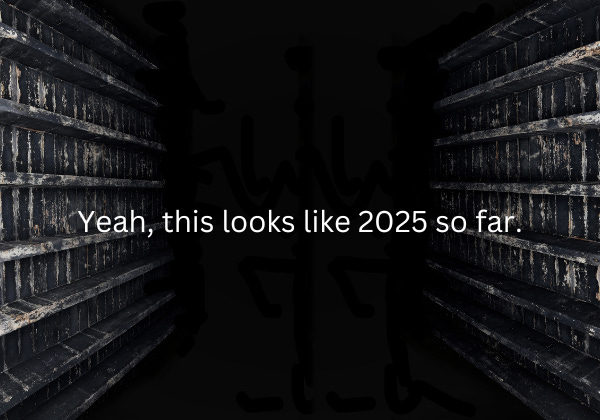 A dark brick-lined tunnel leads into darkness with the words Yeah, this looks like 2025 so far in white text over it