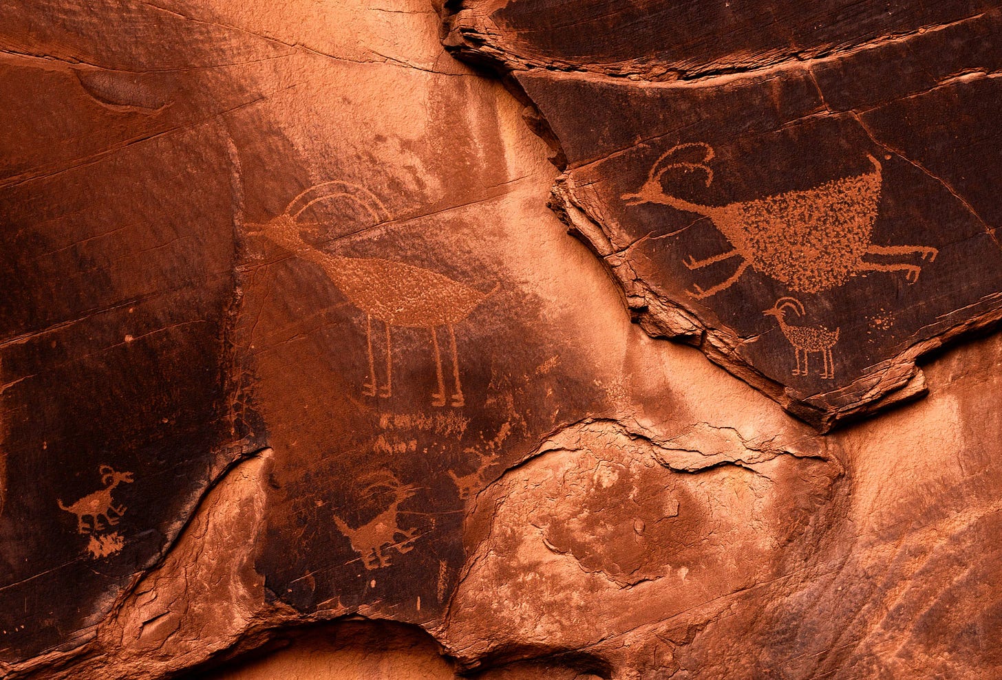Ancient petroglyphs etched into red sandstone depict large horned sheep with elongated bodies, smaller bighorn figures below, and one stylized animal in motion with legs extended as if flying.