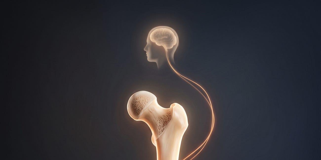 The Bone Was Listening