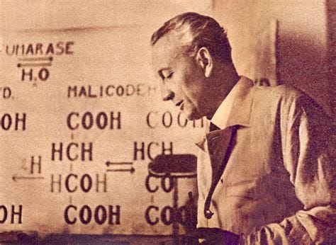 Seven interesting facts about Albert Szent-Györgyi who discovered vitamin C - Daily News Hungary