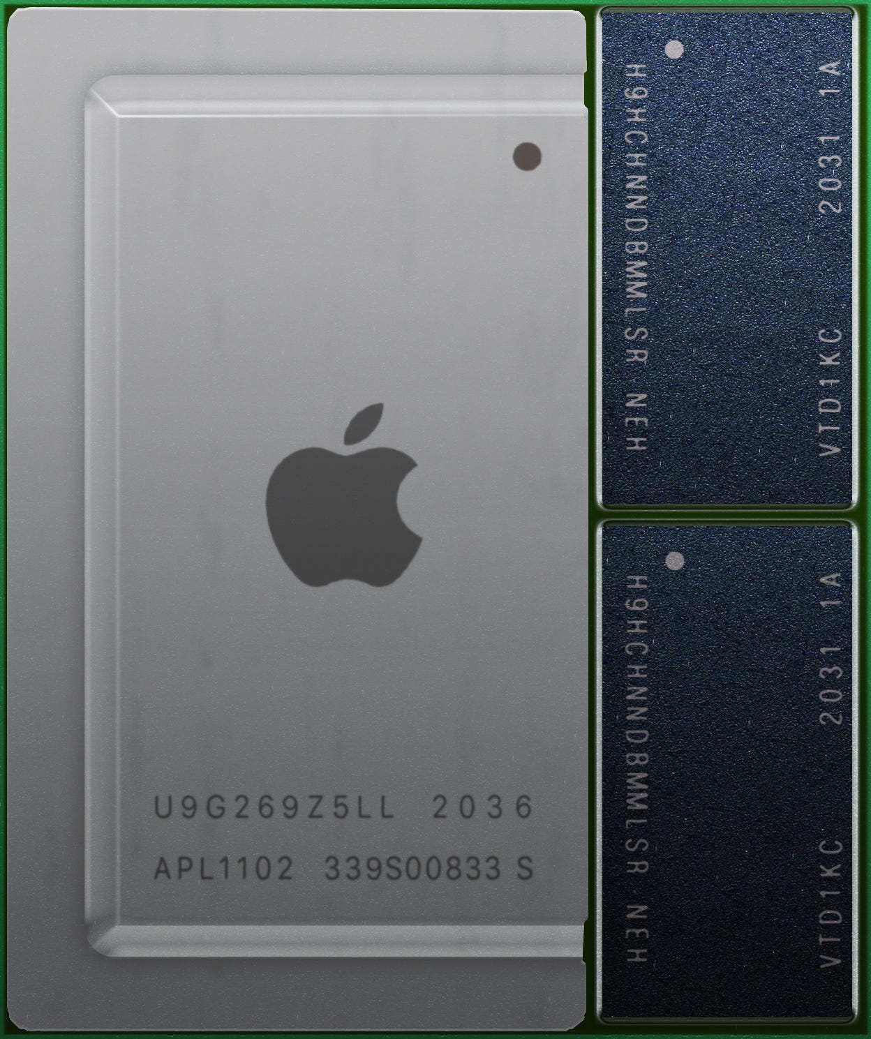 An Apple M1 die