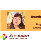 Beach walk thoughts