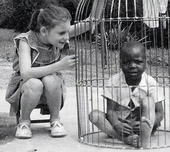 The inhuman 'elephant' in a human zoo ~ Malinda Words