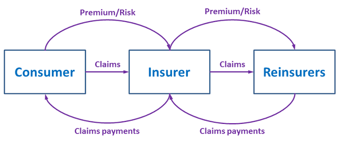 Risk and premium flows between consumers, insurers and reinsurers |  Download Scientific Diagram