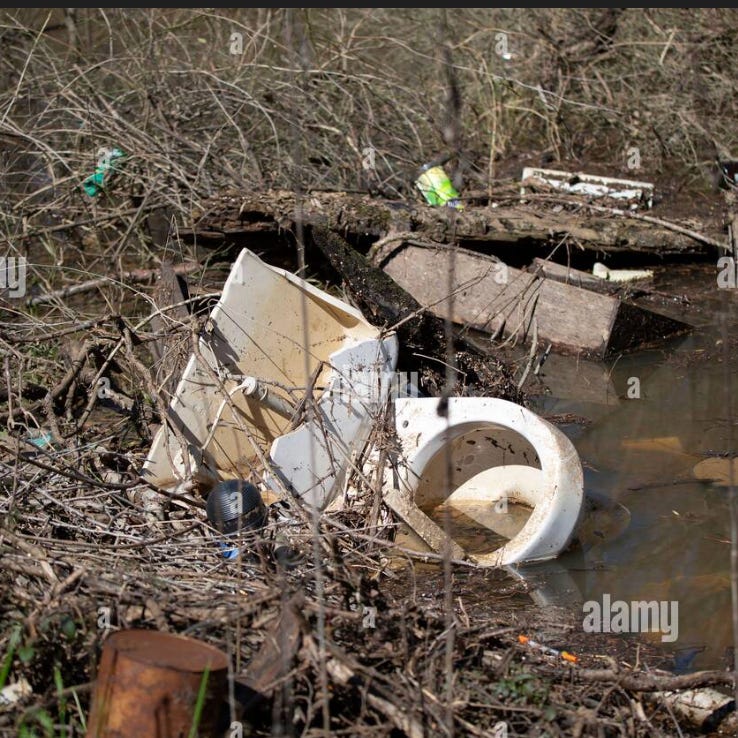 The Dump