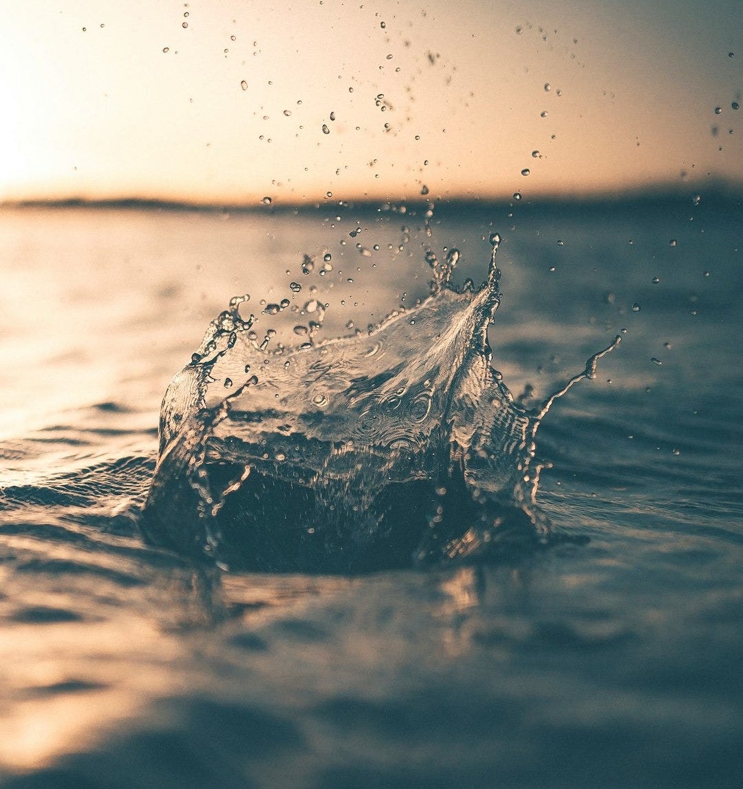 selective focus photography of water splash
