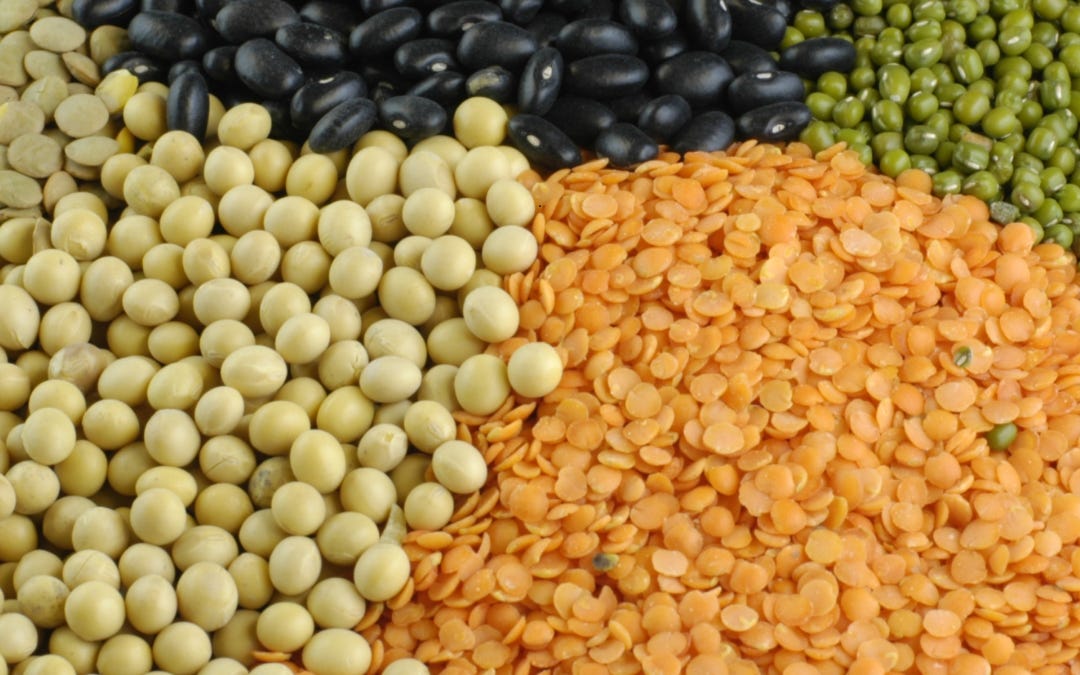 England’s School Food Rules Are Moving Beyond Meat
