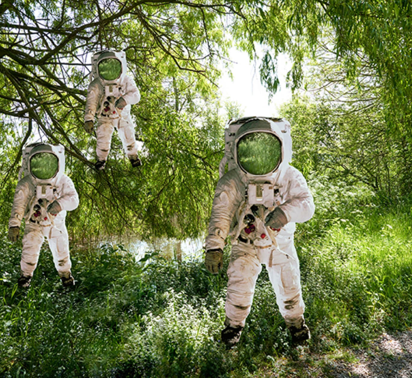 Charles Bonnet Syndrome | Vision Express Charles Bonnet Syndrome | Vision Express