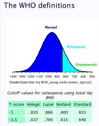 WHO definitions osteoporosis WHO definitions osteoporosis
