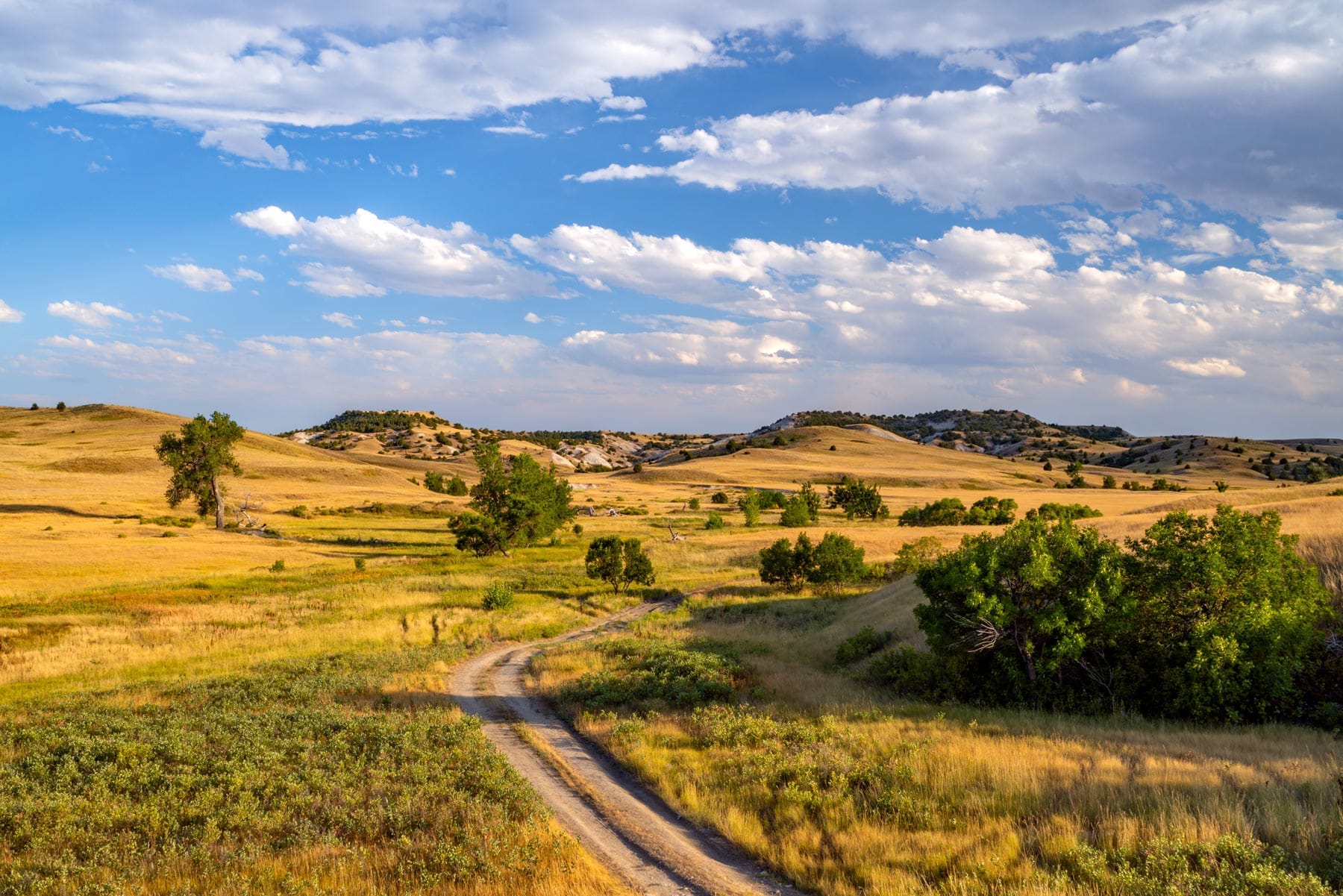 In Defense of the Great Sagebrush Sea