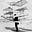Rick Krause's avatar
