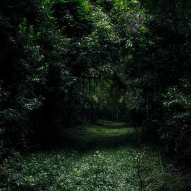 The Misadventures of Khadijah: Creek's Rock