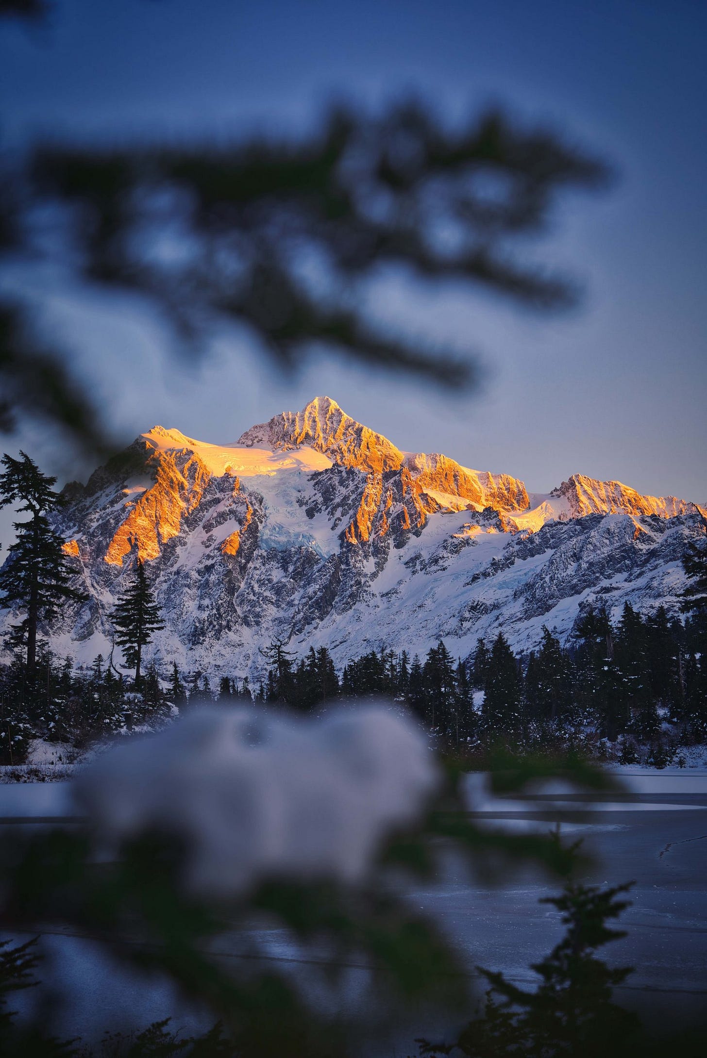 Suntset over Picture Lake with tree in foreground