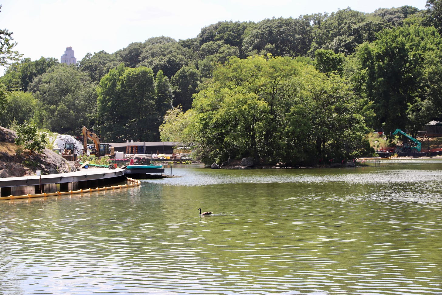 Amid the lush trees of Central Park, a new skating rink and pool in construction are shown.