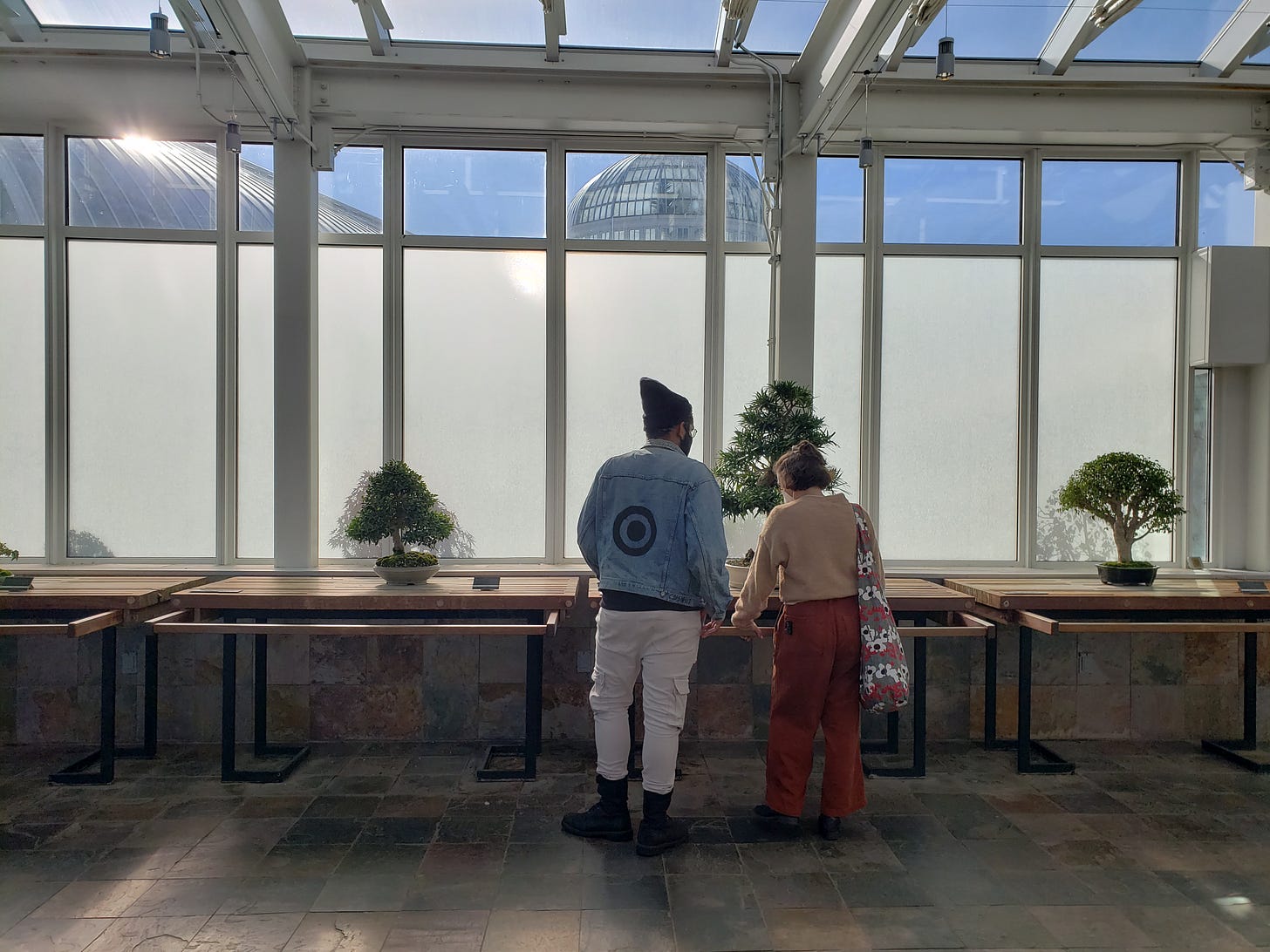 Two people stand in front of one Bonsai tree looking at it. Other Bonsai trees are on shelves to the left and right of them. Two people stand in front of one Bonsai tree looking at it. Other Bonsai trees are on shelves to the left and right of them.