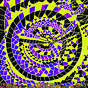 d.w.'s avatar