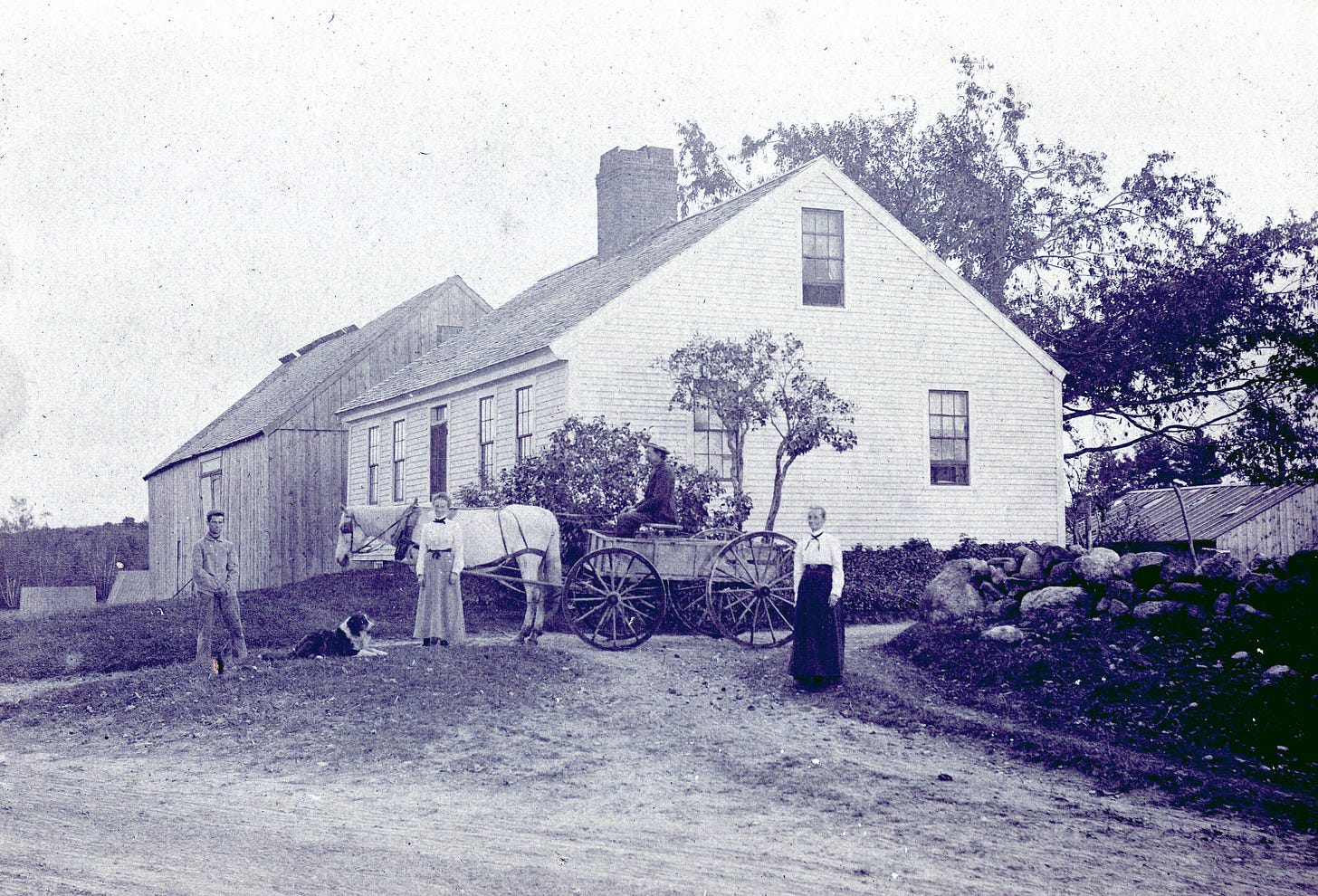Two men, two women, a dog, horse and cart