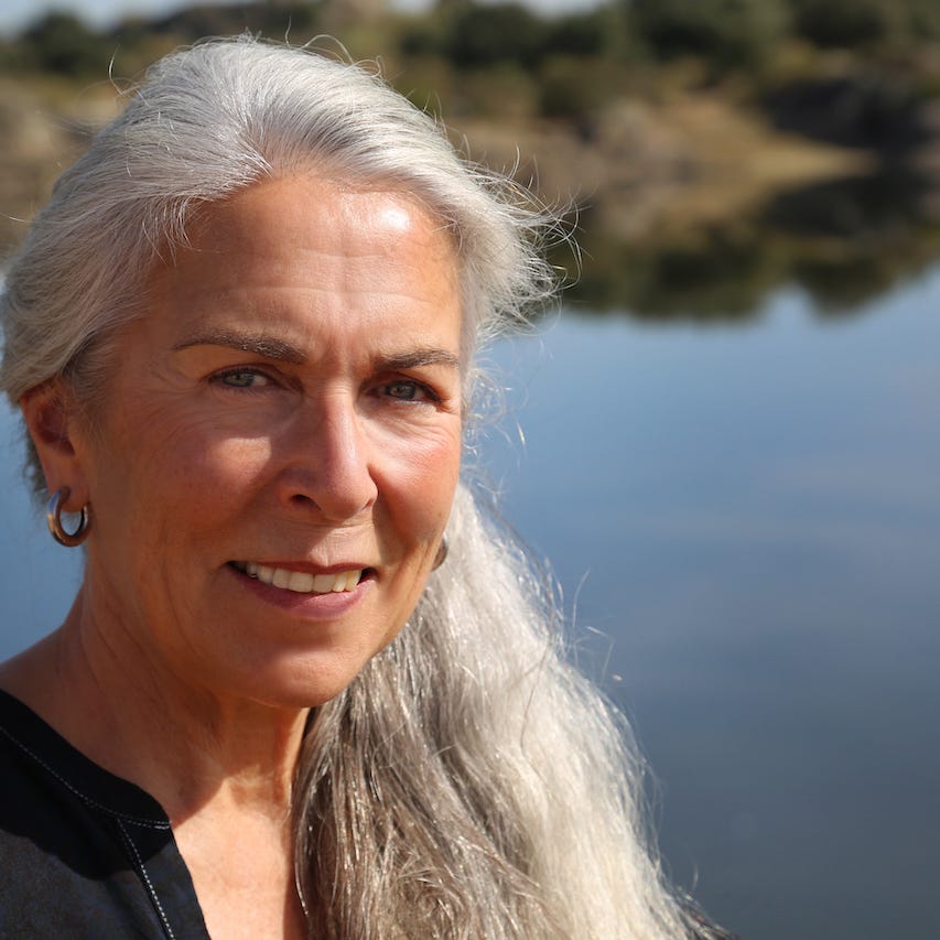 Liesbeth Steur - Nederlands