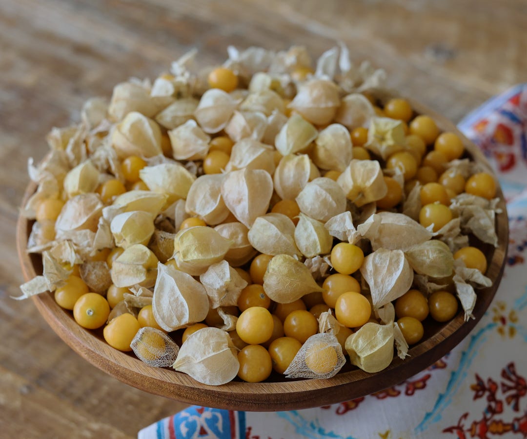 ground cherries in a bowl ground cherries in a bowl