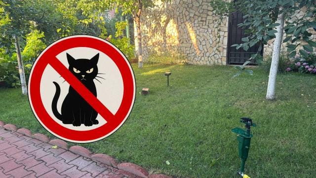 <b>Mi-am făcut propriul Iron Dome pentru gazon: două gadgeturi și un spray țin pisicile departe; Fără pipi și căcăreze în iarbă!</b>Sunt pisicar, cum s-ar zice... Adică dacă am două opțiuni - să leg între o pisică și un câine, aș alege pisica. Pe de altă parte, îmi plac toate animalele - asta poate și pentru că am avut privilegiul să merg vara la sat, la bunici, iar acolo am învățat..