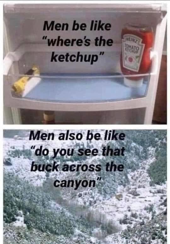 May be an image of text