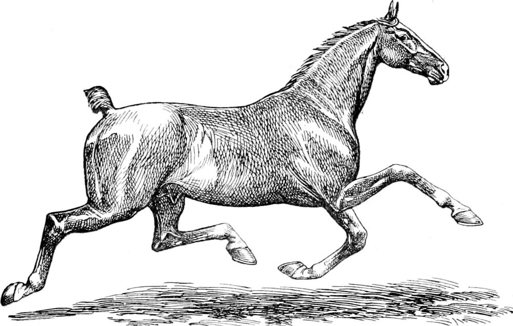 Django