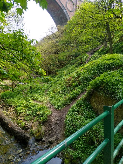 Noses Point to Hawthorn Dene Coastal Path Walk