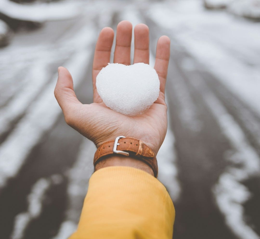 person holding white snow