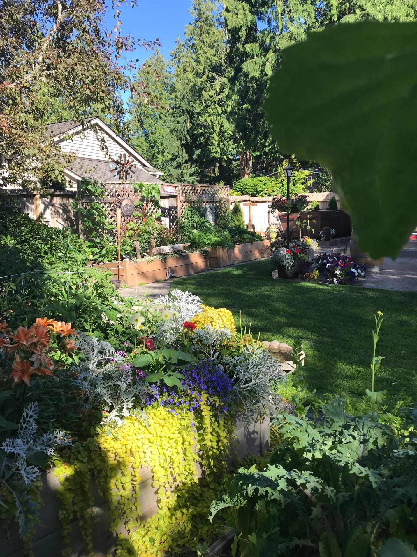 A picture containing tree, outdoor, plant, garden

Description automatically generated