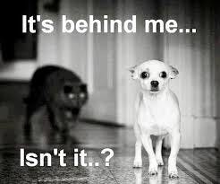 It's behind me isn't it