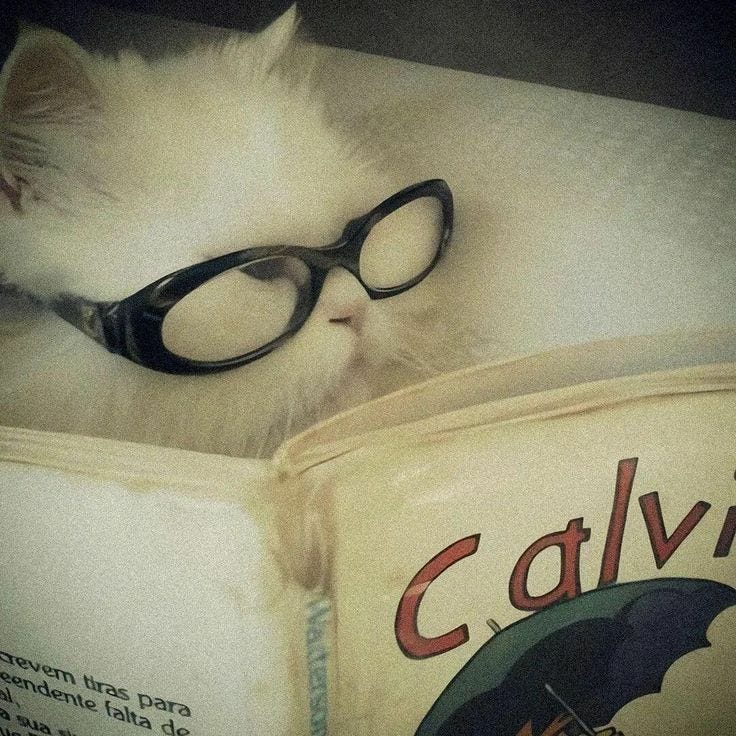 devaneios de uma mente sem lembranças 