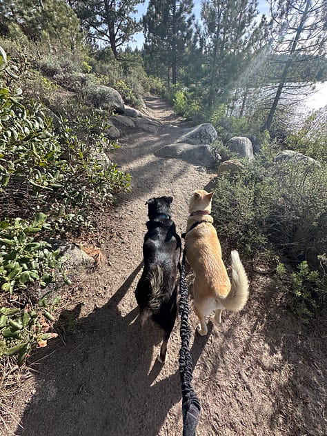 Liz and dogs at Lake Tahoe