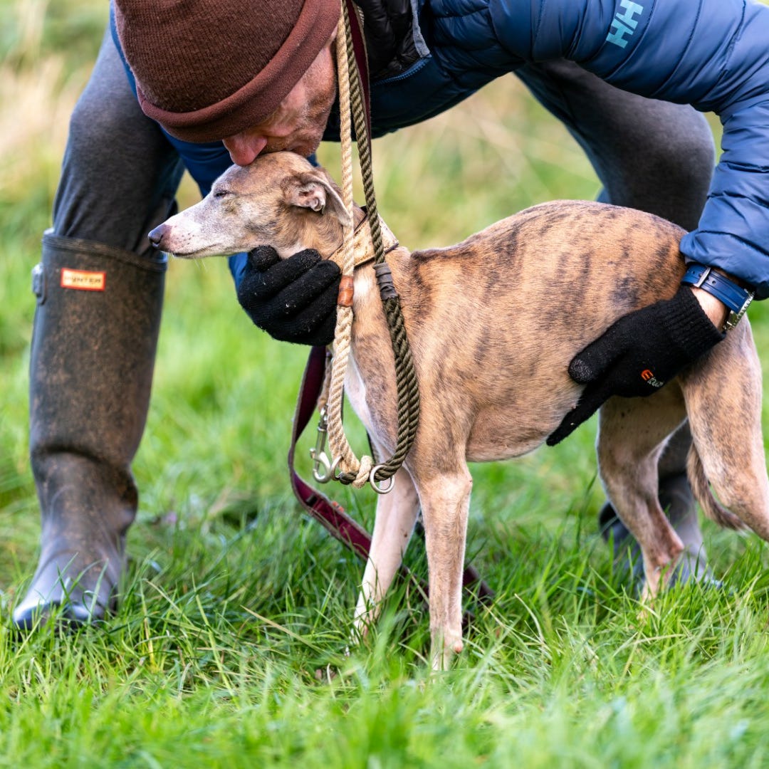 Raw Truth: Consensus is not Evidence