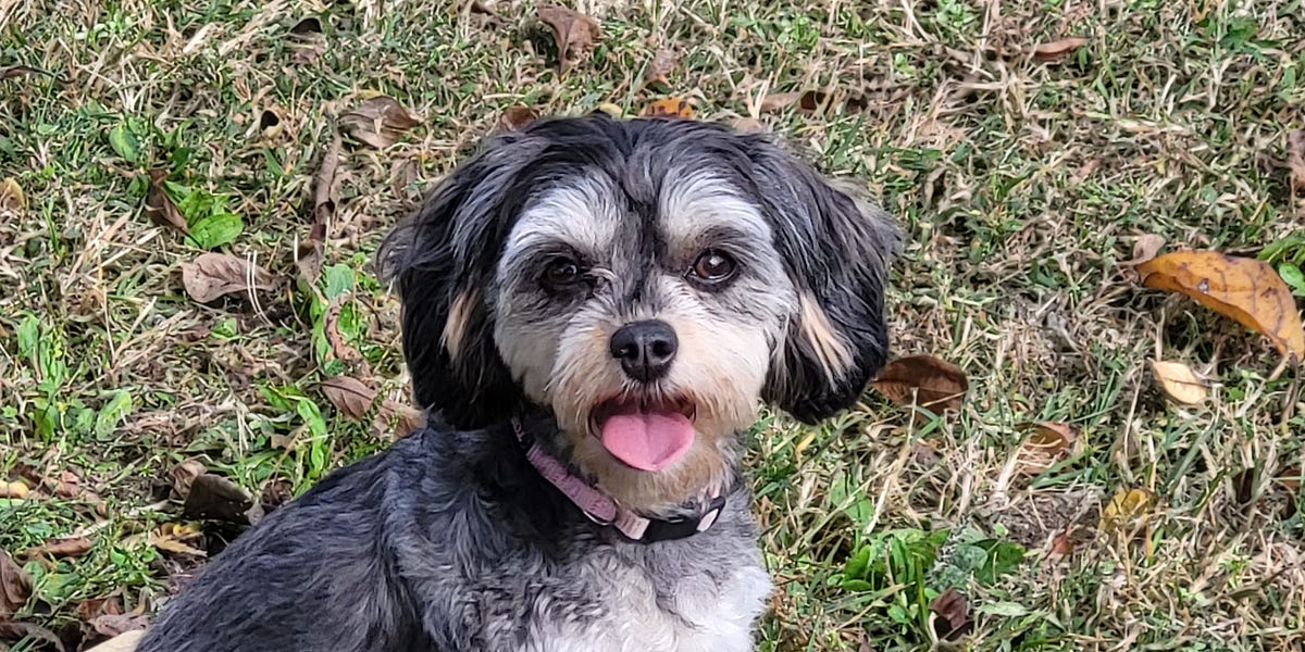 Thin Threads and Knuckleheads