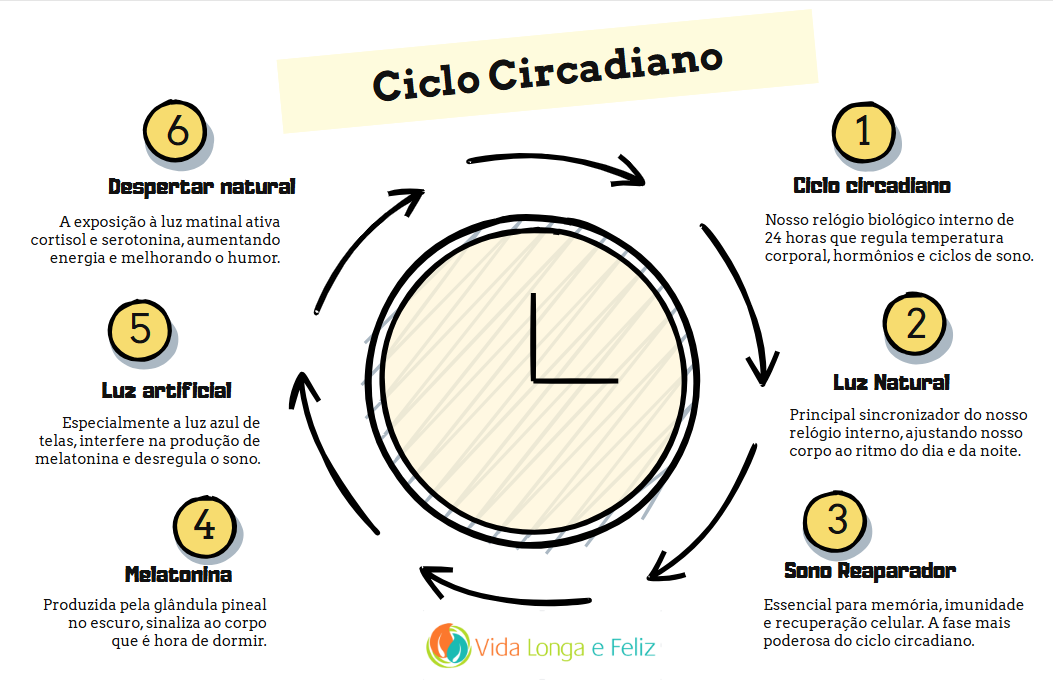 Ilustração do ciclo circadiano com um relógio no centro, destacando as fases: luz natural ajusta o ritmo, sono reparador, produção de melatonina, impacto da luz artificial e despertar natural com aumento de energia. Ilustração do ciclo circadiano com um relógio no centro, destacando as fases: luz natural ajusta o ritmo, sono reparador, produção de melatonina, impacto da luz artificial e despertar natural com aumento de energia.
