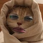 Natasha Hassan's avatar