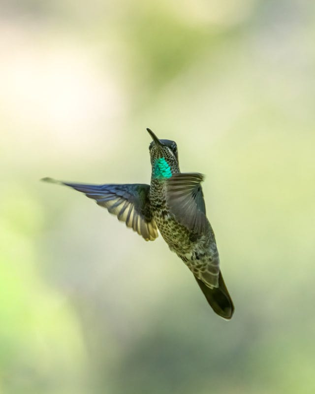 20260818-MillerCanyon-836-Edit.jpg 20260818-MillerCanyon-836-Edit.jpg