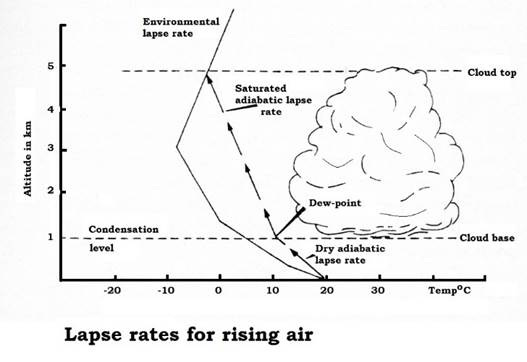 Diagram

Description automatically generated