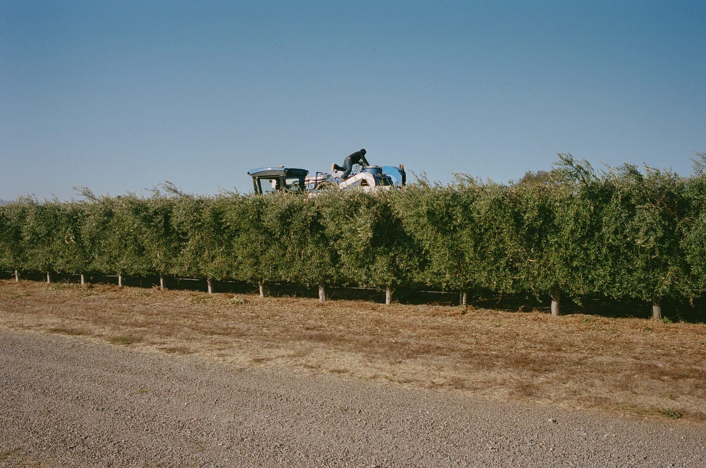 José Rubio climes the harvester