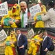 The Zoopness