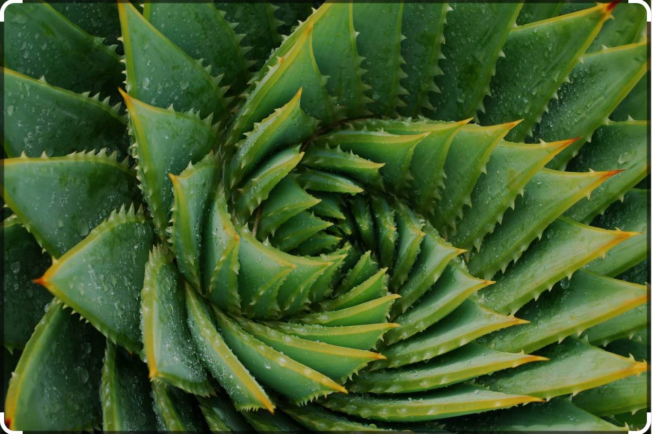 The Published Research of Miles W. Mathis